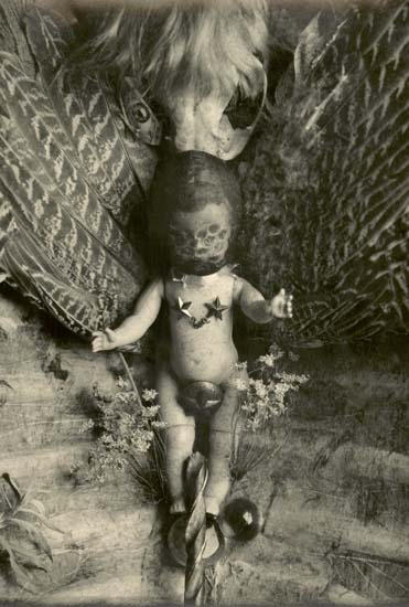 Timothy Rice - Screw Baby (Still Life)