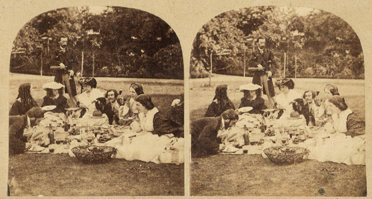 The Picnic