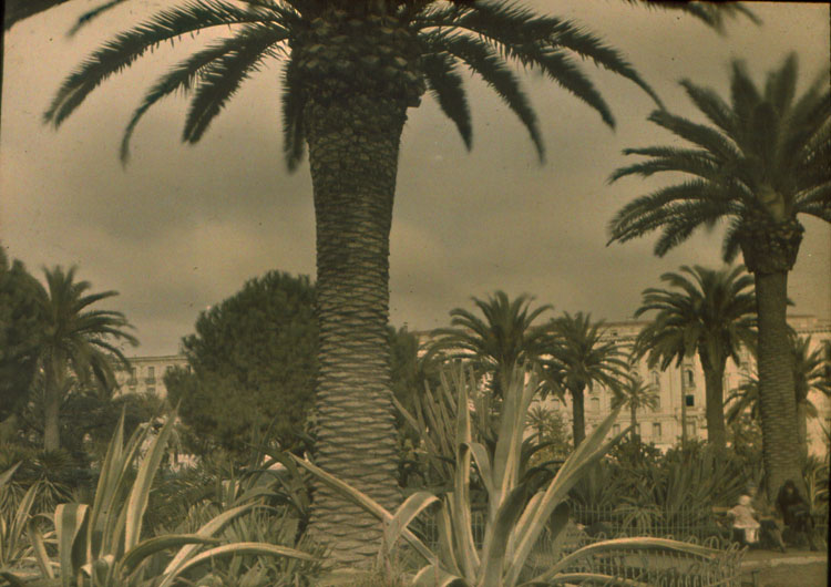 R. Larmarche - Albert I Park, Nice, France