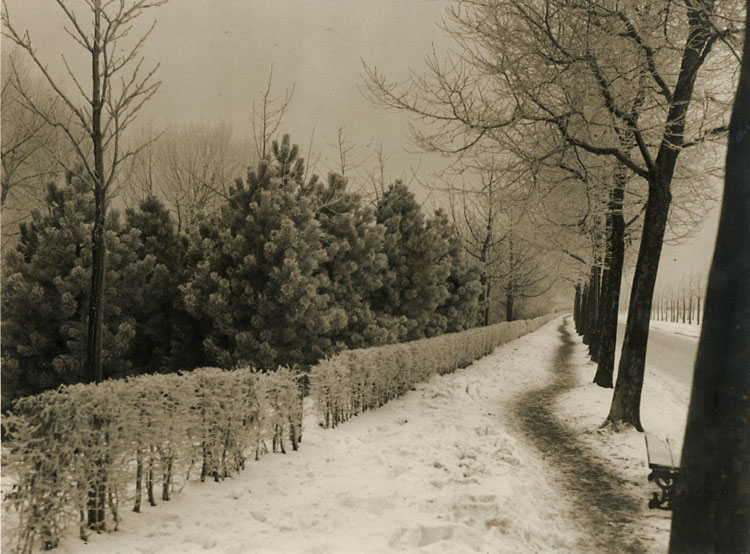 Germaine Van Parys - Roadside Landscape in Snow Germaine Van Parys - Roadside Landscape in Snow