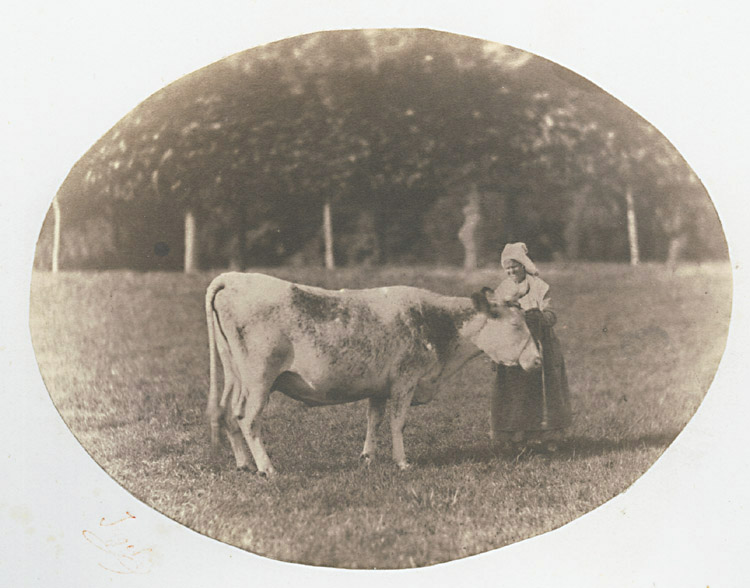 Album of Salt Prints, including Group with Leopard