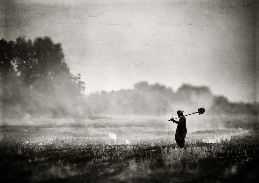 Will Jacks - Burning the Fields Will Jacks - Burning the Fields