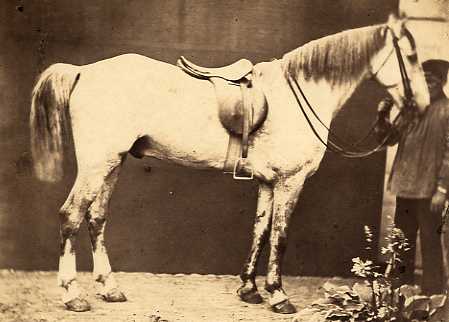 Ghemar & Severin - D'apres Nature (White Horse), Anvers Ghemar & Severin - D'apres Nature (White Horse), Anvers