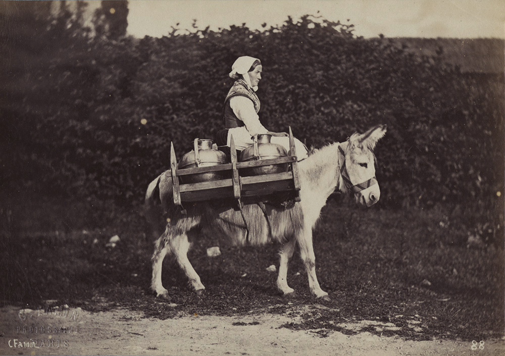 Constant Alexandre Famin - Milk Maid on Donkey Constant Alexandre Famin - Milk Maid on Donkey