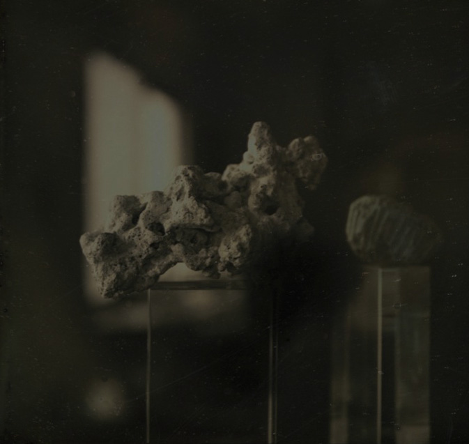 Takashi Arai - An Okinawan Coral on the Day of Reversion of Okinawa to Japan, Kawasaki