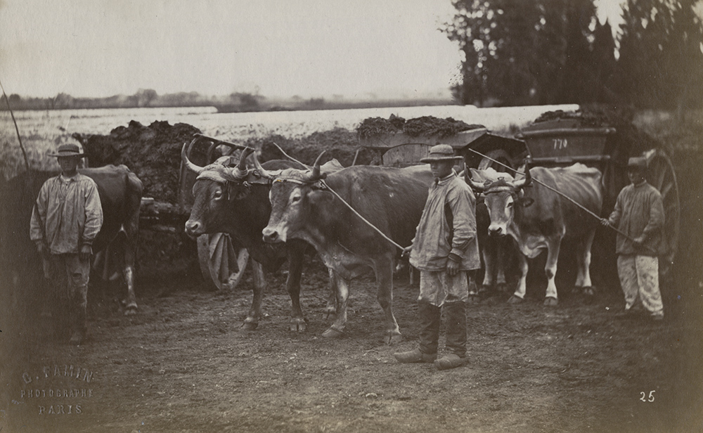 Constant Alexandre Famin - Men with Oxen-Driven Wagons Constant Alexandre Famin - Men with Oxen-Driven Wagons
