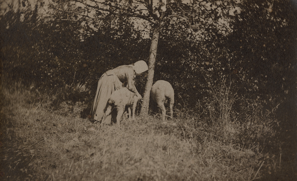 Woman with Sheep
