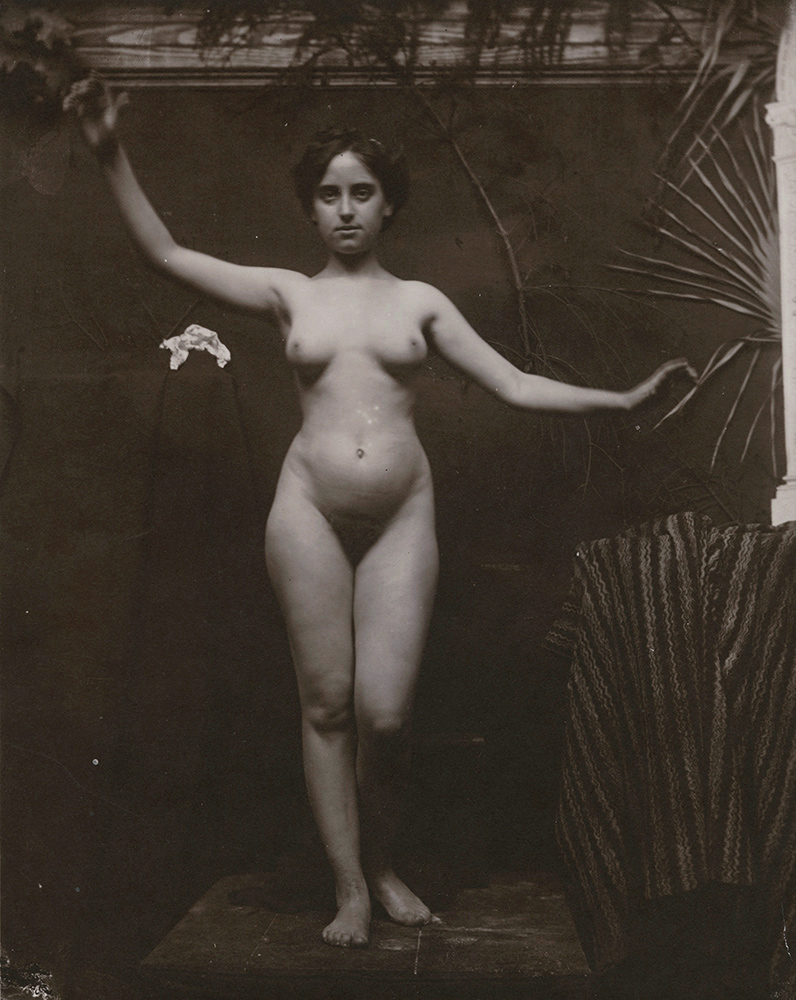 Anonymous - Standing Female Nude with Arms Outstretched Anonymous - Standing Female Nude with Arms Outstretched