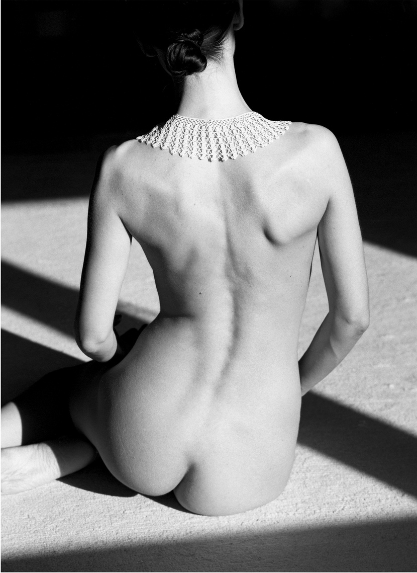 Nude No. 5, Orebic