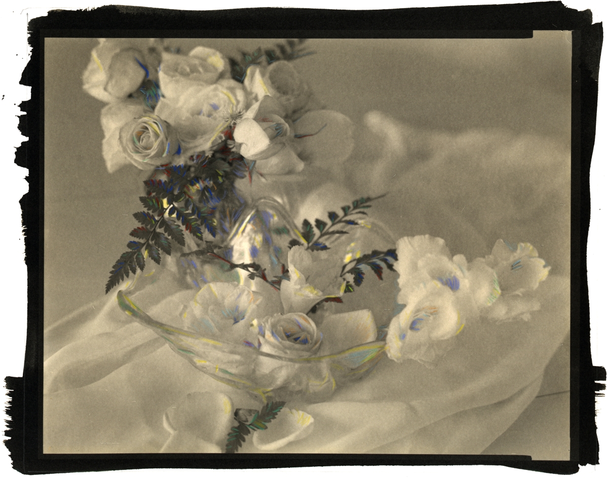 Thomas John Shillea - Wedding Flowers Thomas John Shillea - Wedding Flowers