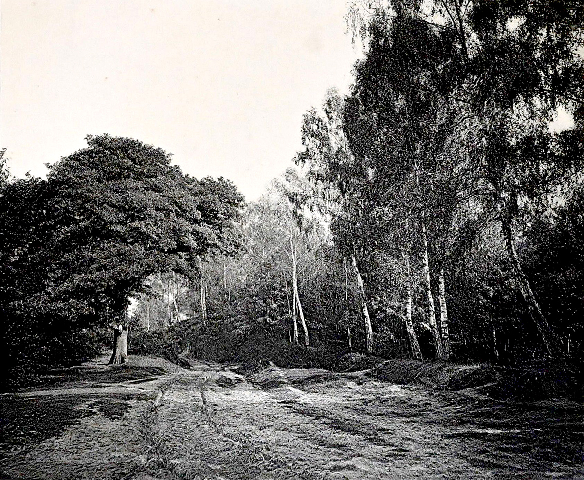 Alphonse François Jeanrenaud - Forêt de Chantilly Alphonse François Jeanrenaud - Forêt de Chantilly