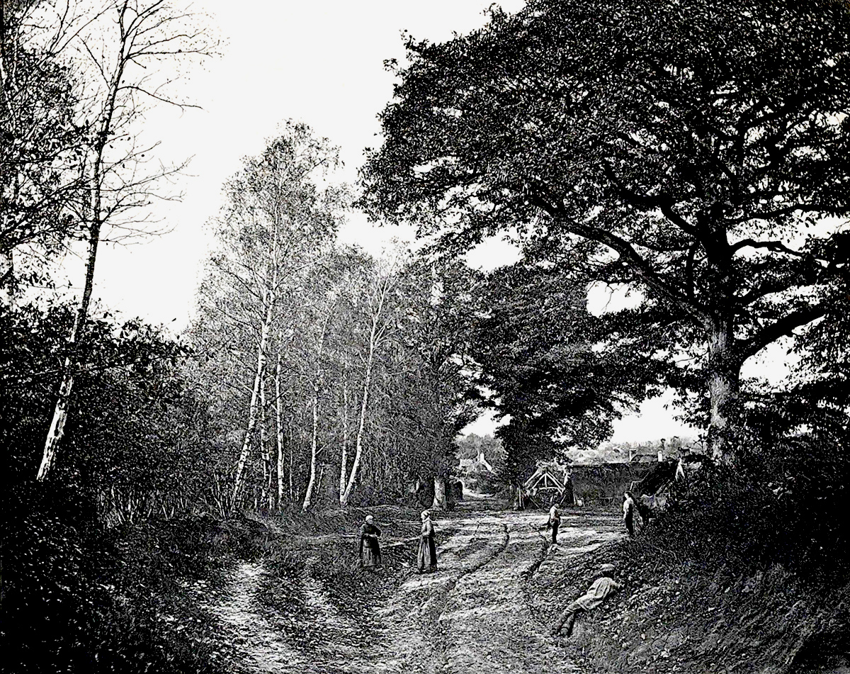 Alphonse François Jeanrenaud - Forêt de Rambouillet Alphonse François Jeanrenaud - Forêt de Rambouillet
