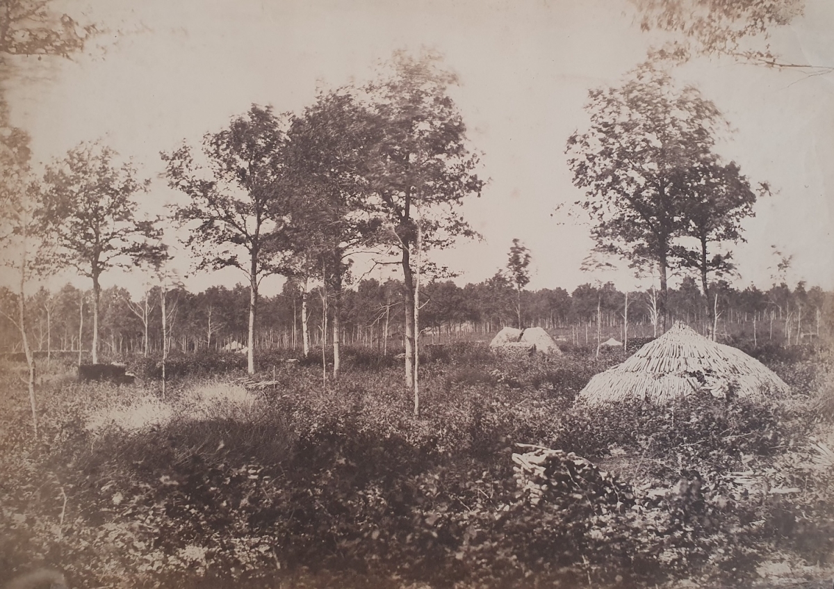 Count Olympe Aguado - Etude D'Apres Nature (Forest with Huts)