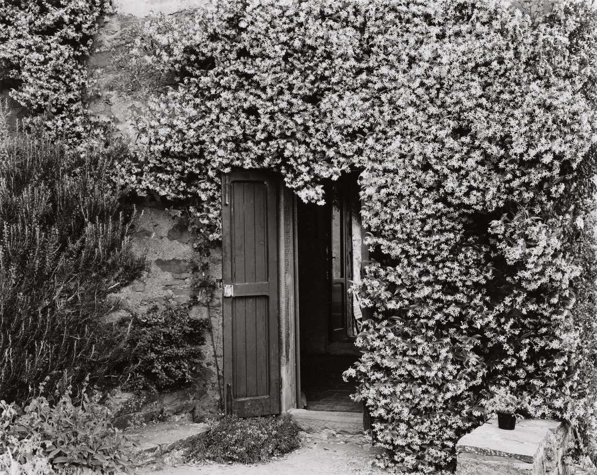Paula Chamlee - Cortona, Tuscany, 1999