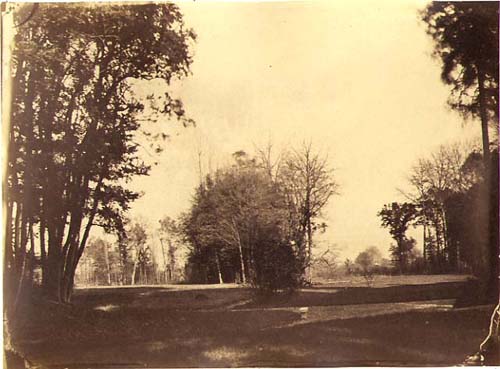 Landscape, Walkway & Bench
