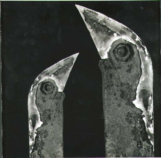 Ladislav Postupa - Ptaci (Birds)