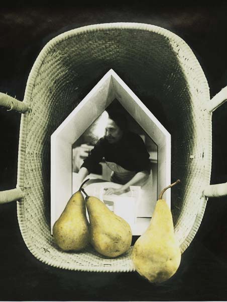 Diane Farris - Pear Table (Still Life) Diane Farris - Pear Table (Still Life)
