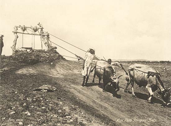 J. Andre Garrigues (Tunis) - An Arab Well J. Andre Garrigues (Tunis) - An Arab Well