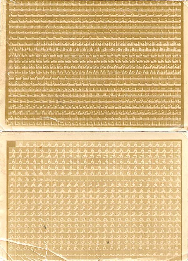 Societe Anonyme du Kino-Plak - Two Examples of the Process and an Investor's Prospectus Societe Anonyme du Kino-Plak - Two Examples of the Process and an Investor's Prospectus