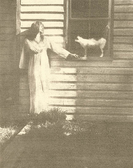 Ted Jones - Woman with Cat in the Window Ted Jones - Woman with Cat in the Window
