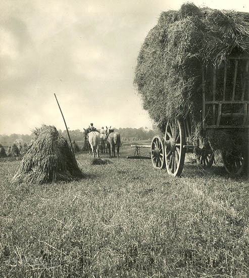 Harvest