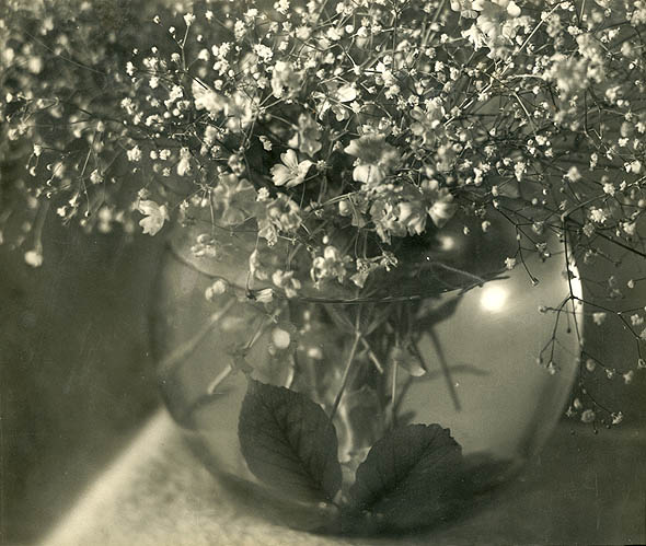 Jean-Marie Auradon - Still Life of Flowers in a Glass Bowl of Water Jean-Marie Auradon - Still Life of Flowers in a Glass Bowl of Water