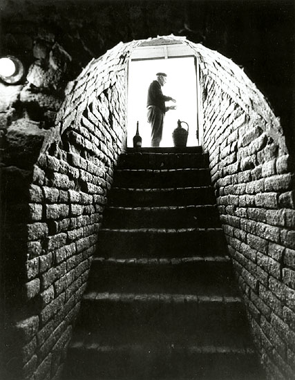 Milos Budik - Wine Cellar