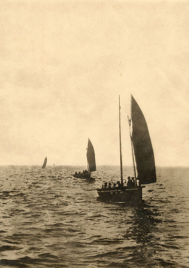 Sail Boats
