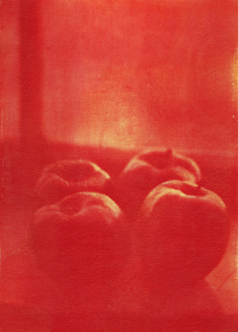 Ted Jones - Still Life #1 (Apples)