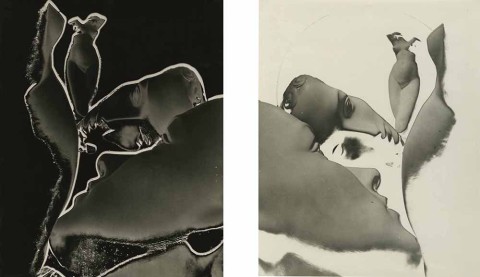 James Hamilton Brown Solarizations, Blanc et Noir (Diptych)