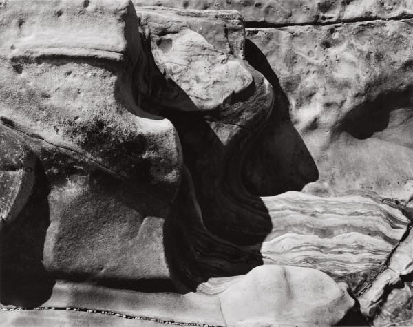 Paula Chamlee: Point Lobos, California, 2002. Silver chloride contact print, 8 x 10 in. (203 x 254 mm), 2002/2002, on original mount. 16736. Paula Chamlee: Point Lobos, California, 2002. Silver chloride contact print, 8 x 10 in. (203 x 254 mm), 2002/2002, on original mount. 16736.