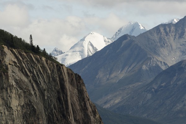 Renate Aller: Pl.44, Alaska, Matanuska Range, August 2017
